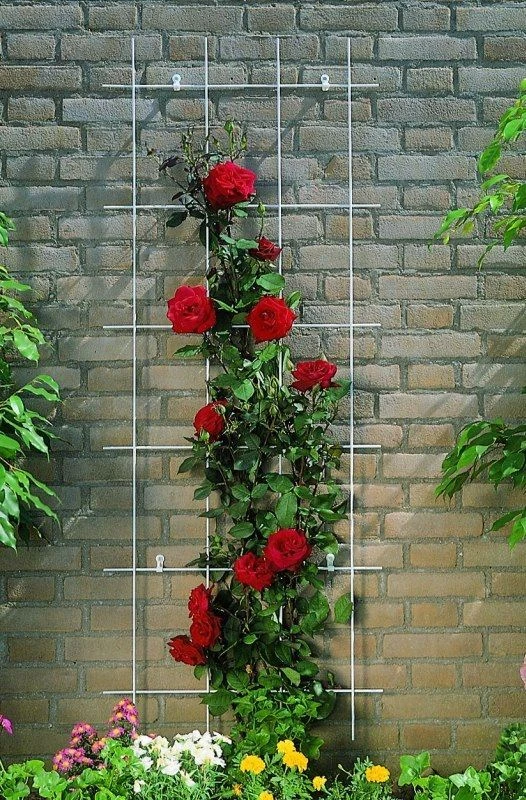 Nature Klimplantrek Metaal Groen 145 X 57 Cm 4 Nature Klimplantrek Metaal Groen 145 X 57 Cm - Afbeelding 2