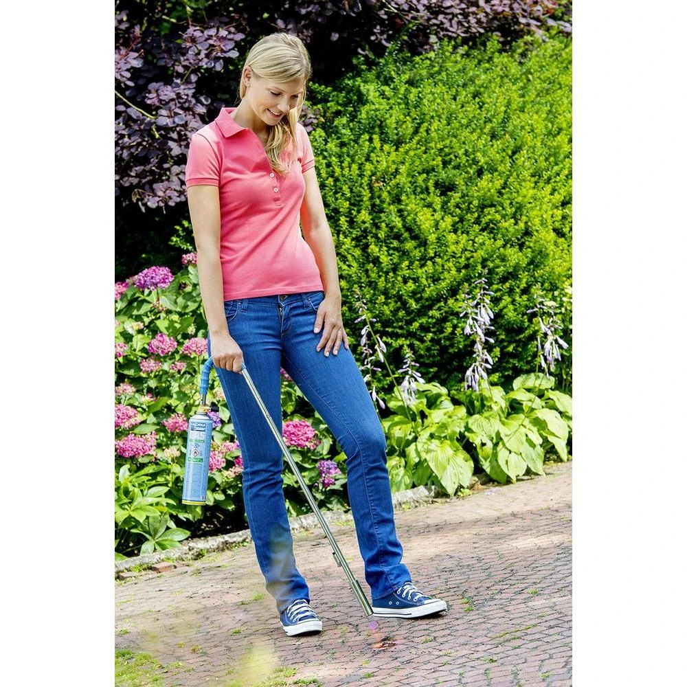 Gloria Thermo Flamm Bio Classic Onkruidbrander 5 Gloria Thermo Flamm Bio Classic Onkruidbrander - Afbeelding 3