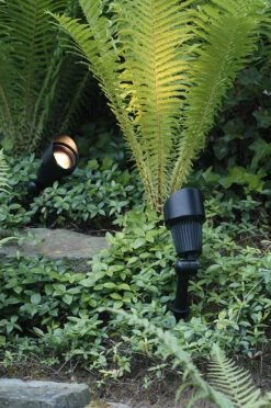 Garden Lights Tuinspot Focus LED -Tuingereedschap Winkel 3151011 s1 Focus 2