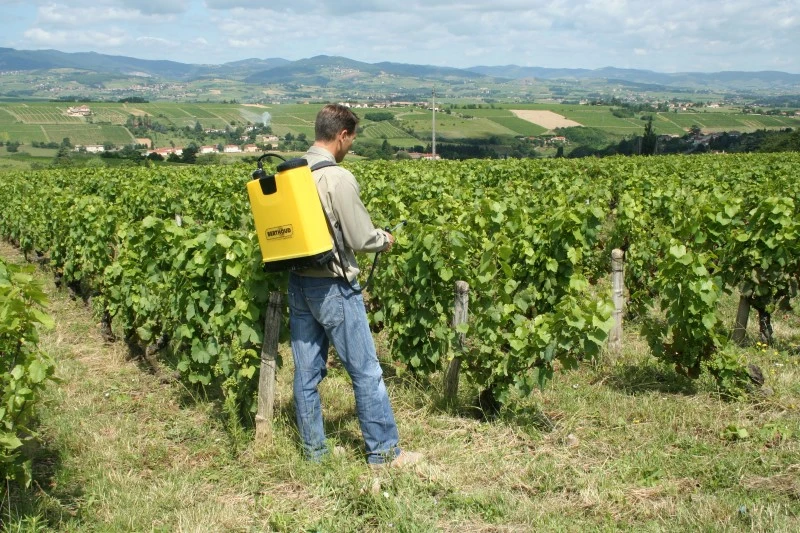 Berthoud Cosmos 18 Pro Rugspuit 18 Liter 4 Berthoud Cosmos 18 Pro Rugspuit 18 Liter - Afbeelding 2