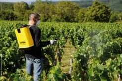 Berthoud Cosmos 18 Pro Rugspuit 18 Liter 9 Berthoud Cosmos 18 Pro Rugspuit 18 Liter -Tuingereedschap Winkel 3176241022150 4