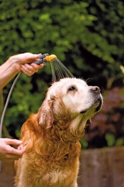 Hozelock Drukspuit 4 In 1 Tuindouche -Tuingereedschap Winkel 5010646051361 3