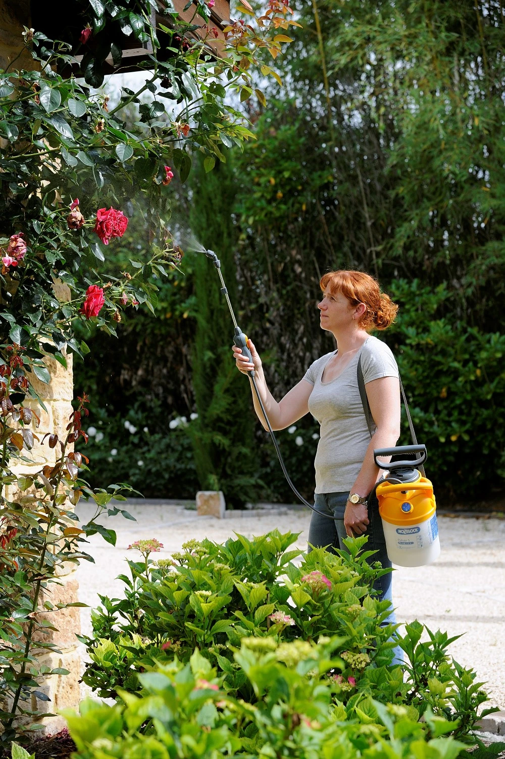 Hozelock Drukspuit Pulsar Plus 5 Liter 3 Hozelock Drukspuit Pulsar Plus 5 Liter - Afbeelding 2