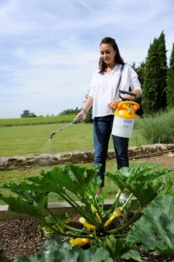 Hozelock Drukspuit Pulsar Plus 5 Liter 14 Hozelock Drukspuit Pulsar Plus 5 Liter -Tuingereedschap Winkel 5010646062671 6