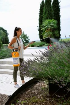 Hozelock Drukspuit Pulsar Plus 7 Liter 15 Hozelock Drukspuit Pulsar Plus 7 Liter -Tuingereedschap Winkel 5010646062688 3