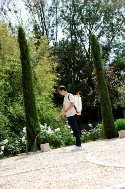 Hozelock Rugspuit Pulsar Plus Comfort 12 Liter -Tuingereedschap Winkel 5010646062749 3