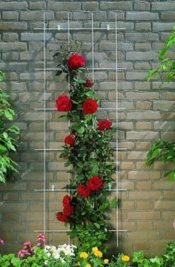 Nature Klimplantrek Metaal Verzinkt 145 X 42.5 Cm -Tuingereedschap Winkel 7938323c801666f915a61120cb79653b