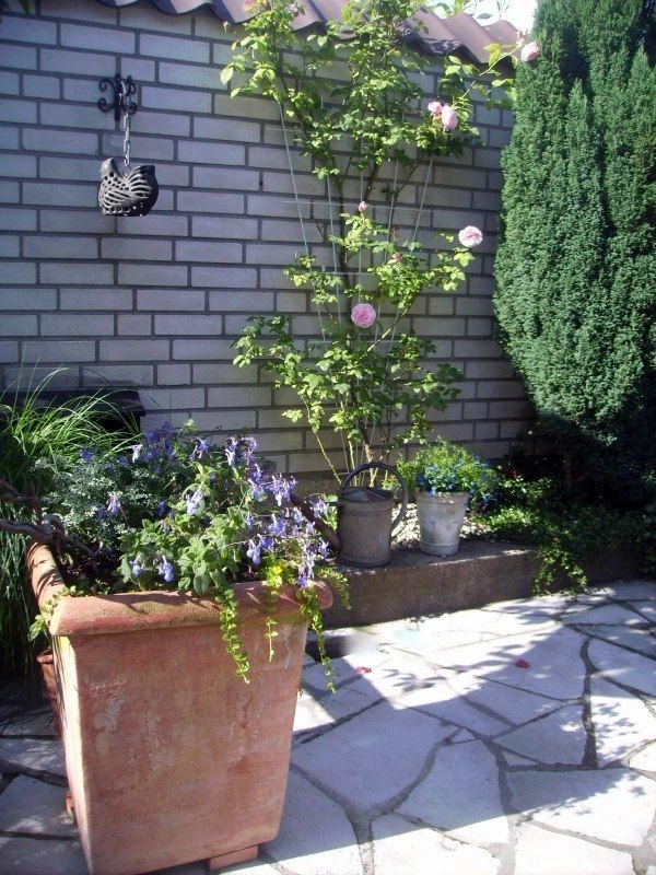 Nature Klimplantrek V-Vorm Metaal Verzinkt 145x5/75cm 4 Nature Klimplantrek V-Vorm Metaal Verzinkt 145x5/75cm - Afbeelding 2