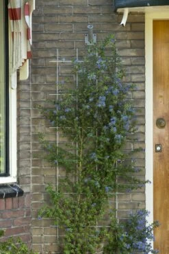 Nature Klimplantrek Metaal Grijs 145 X 42.5 Cm -Tuingereedschap Winkel 8711338407325 1