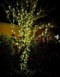 Garden Lights LED Linea 1 -Tuingereedschap Winkel 947x1200