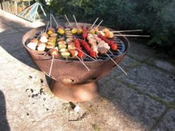 Esschert Vuurpot/BBQ ø 55 Cm -Tuingereedschap Winkel BV11 41