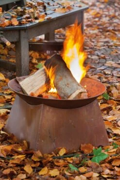 Esschert Vuurschaal Roest -Tuingereedschap Winkel FF149 43