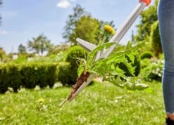 Gardena Onkruidsteker Lang 20 Gardena Onkruidsteker Lang -Tuingereedschap Winkel Gardena onkruisteker lang 9