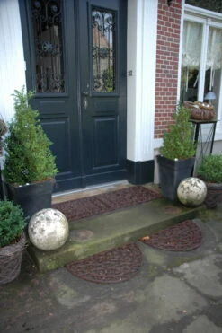 Esschert Deurmat Gietijzer L 9 Esschert Deurmat Gietijzer L -Tuingereedschap Winkel LH38 42