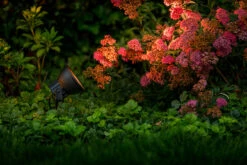 Garden Lights Tuinspot Raf LED 7 Garden Lights Tuinspot Raf LED -Tuingereedschap Winkel Raf 3211011 1