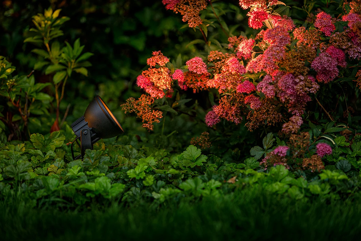 Garden Lights Tuinspot Raf LED 5 Garden Lights Tuinspot Raf LED - Afbeelding 3