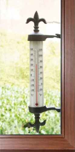 Esschert Thermometer Kozijn Gietijzer -Tuingereedschap Winkel TH84 01 1