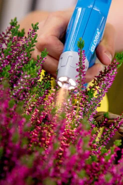 Gloria AutoPump Mini - 1 Liter Fijnsproeier NBR + LED Verlichting -Tuingereedschap Winkel csm AutoPump Mini Detail 1 5f2afd1455