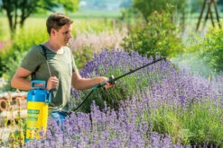 Gloria Drukspuit Hobby 5 Liter - Exclusiv -Tuingereedschap Winkel csm hobby exklusiv Live 1 f54f7a9c8c