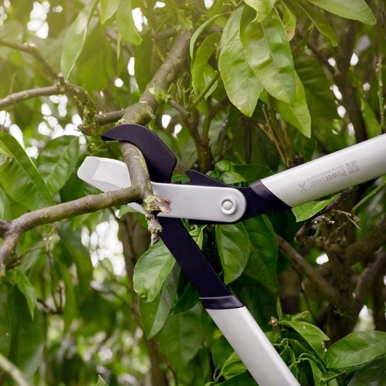 Fiskars Takkenschaar LX94 Powergear - 64 Cm 4 Fiskars Takkenschaar LX94 Powergear - 64 Cm - Afbeelding 2